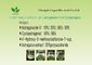 Anti Penuaan 10% Astragaloside IV 1.6% Cycloastragenol Astragalus Extract Hg 0.5ppm
